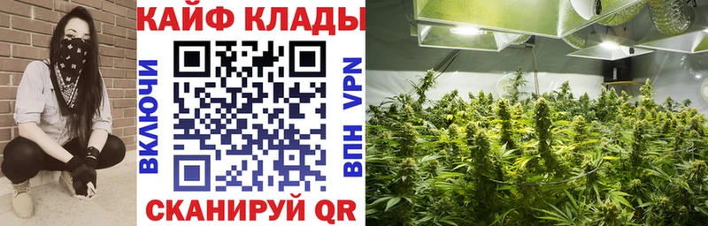 Магазины продажи наркотиков Берёзовка APVP  Гашиш  АМФ  Кокаин  Канабис 