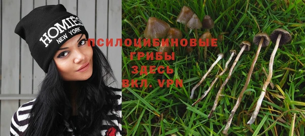 ПСИЛОЦИБИНОВЫЕ ГРИБЫ Абинск