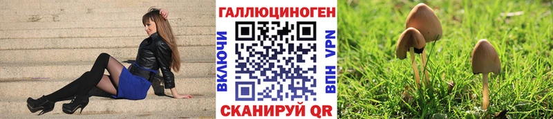 Галлюциногенные грибы мицелий  Берёзовка 